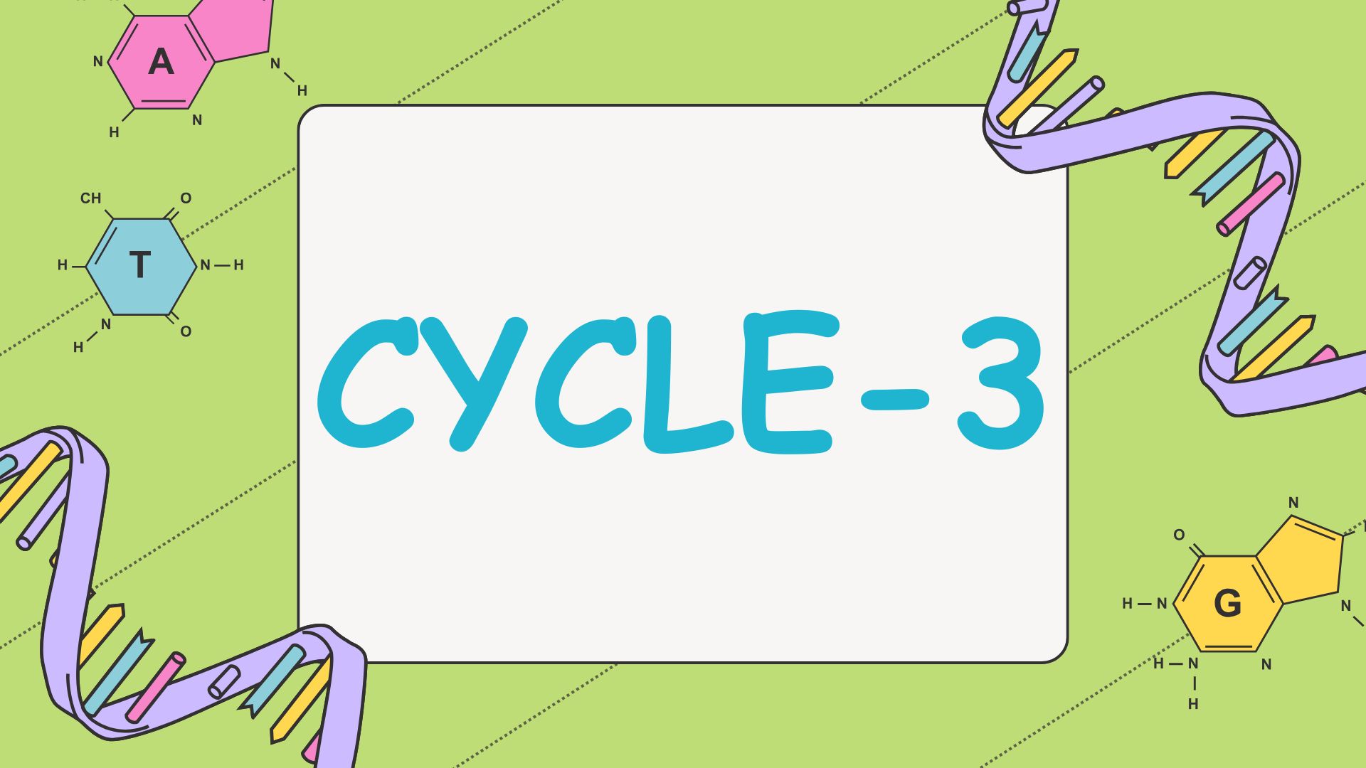 Cycle 3